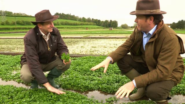 S03:E01 - Michel Roux Jr on Strawberries / James Martin on Watercress