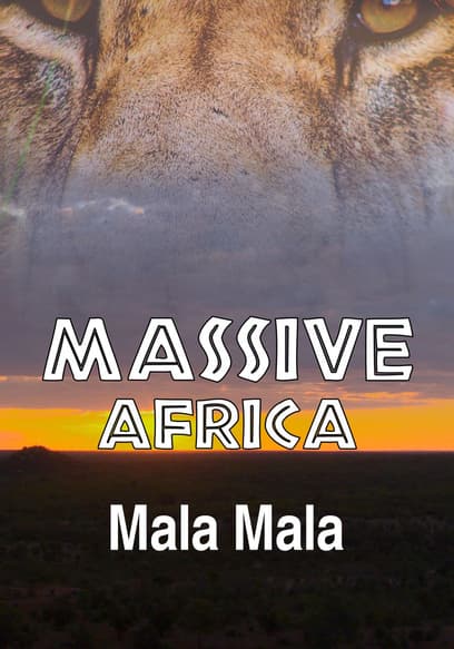 Massive Africa: Mala Mala