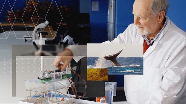 S01:E04 - Why Money Is Flowing Into Geoengineering