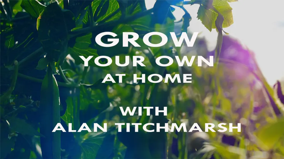 Gardening Shows: Watch Free Online | Tubi