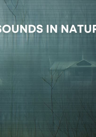 S03:E07 - Unexplained Sounds Heard in Nature poster