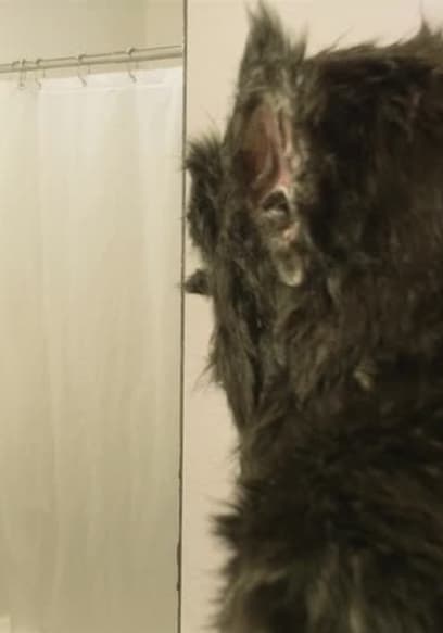 S01:E06 - Hairwolf: A Were-Removal Story poster