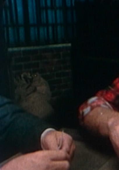 S01:E13 - Barnabas Bletcher poster