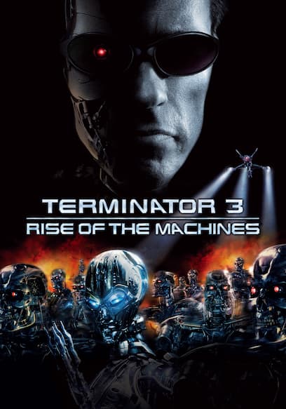 Terminator 3: Rise of the Machines