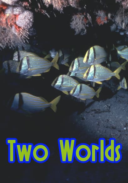 Two Worlds