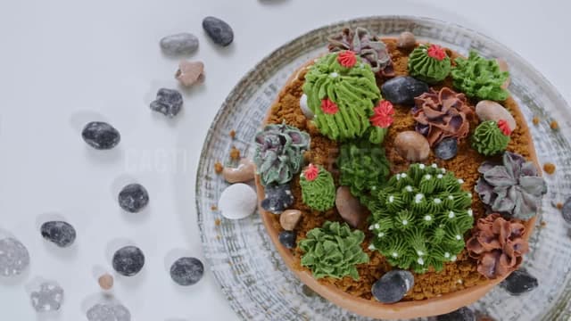 S01:E10 - The Plant-Based Succulent Cake