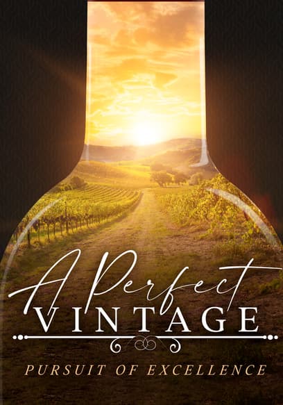 A Perfect Vintage