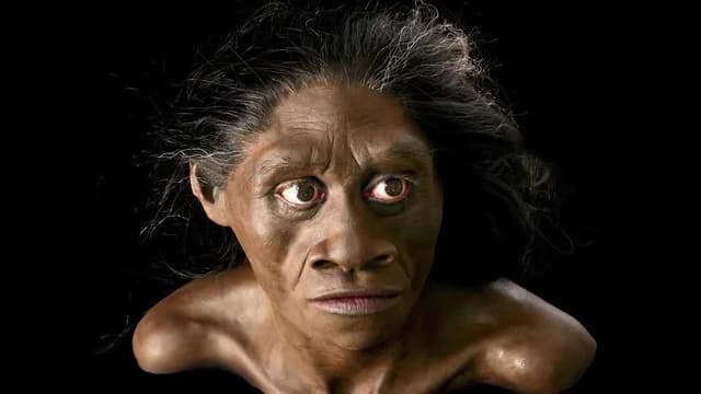 S01:E05 - Homo Floresiensis: The Real-Life Hobbit