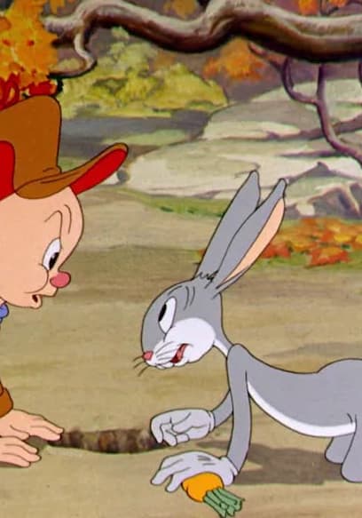 S11:E11 - A Wild Hare / Elmer's Candid Camera / Bedtime for Sniffles poster