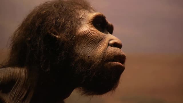 S04:E10 - Mysteries of the Missing Link