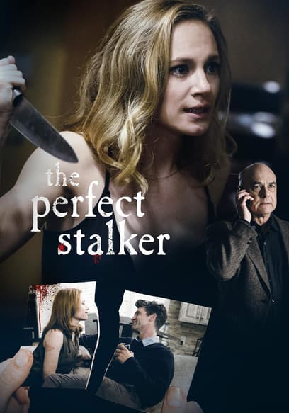 The Perfect Stalker