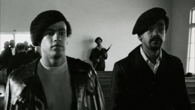 S03:E08 - Black Panthers