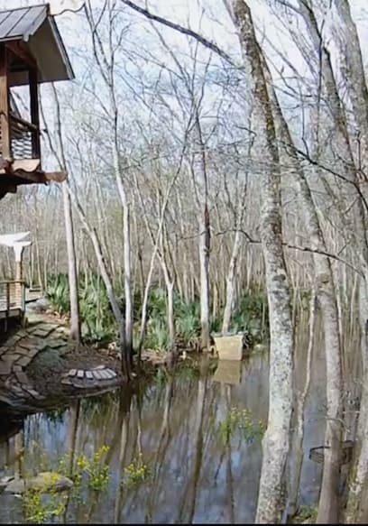S01:E05 - Swamp poster