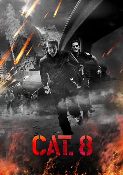 CAT. 8