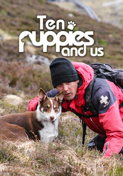 Ten Puppies and Us