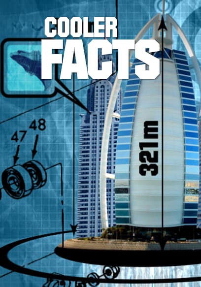 Cooler Facts poster