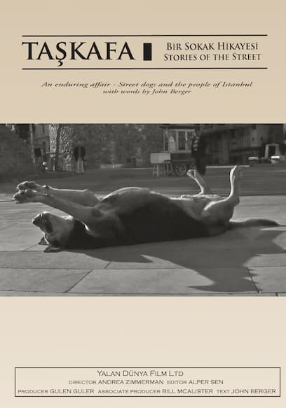 Tashkafa: Stories of the Street