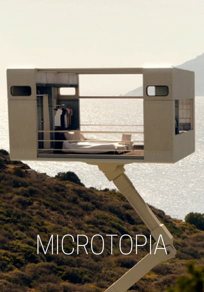 Microtopia poster
