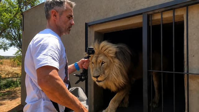 The Lion Whisperer