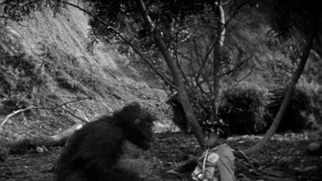 Watch The Little Rascals S01:E10 - Bear Shooters - Free TV Shows | Tubi
