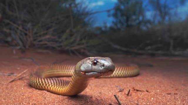 S01:E03 - The Suburbs