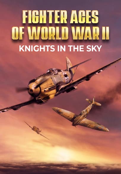 Fighter Aces of World War II: Knights in the Sky