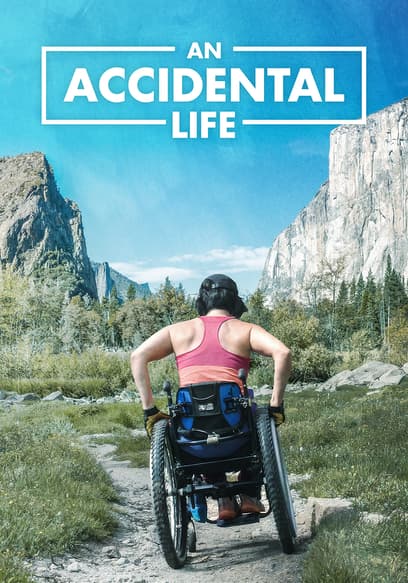 An Accidental Life