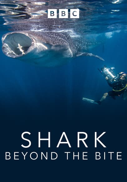 Shark: Beyond the Bite