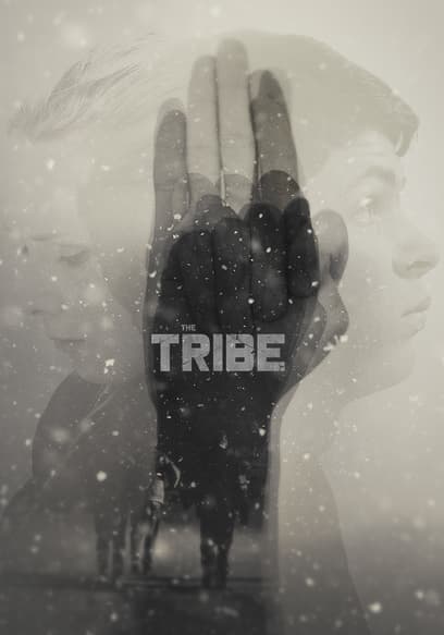 The Tribe