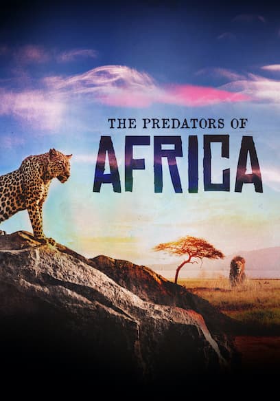 The Predators of Africa