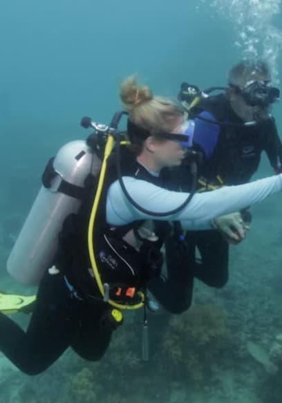 S01:E01 - Great Barrier Reef poster