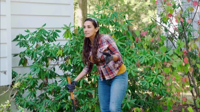 S01:E07 - Dead Lawn Diagnosis