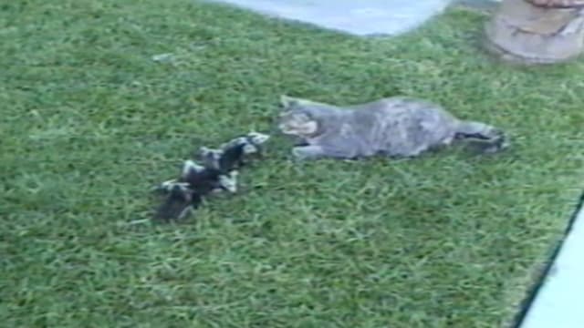 S01:E08 - Have Your Cake and Eat It Too