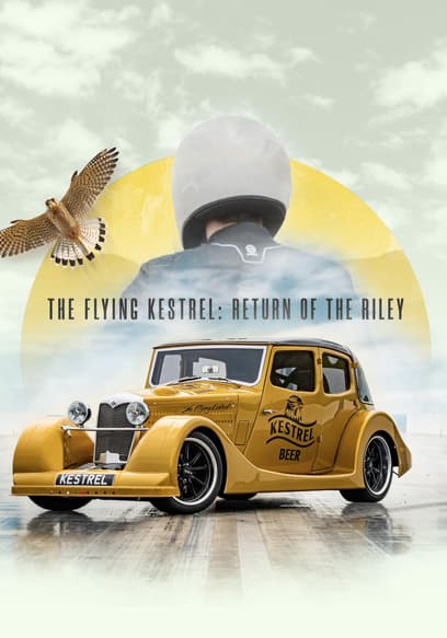 The Flying Kestrel: Return of the Riley