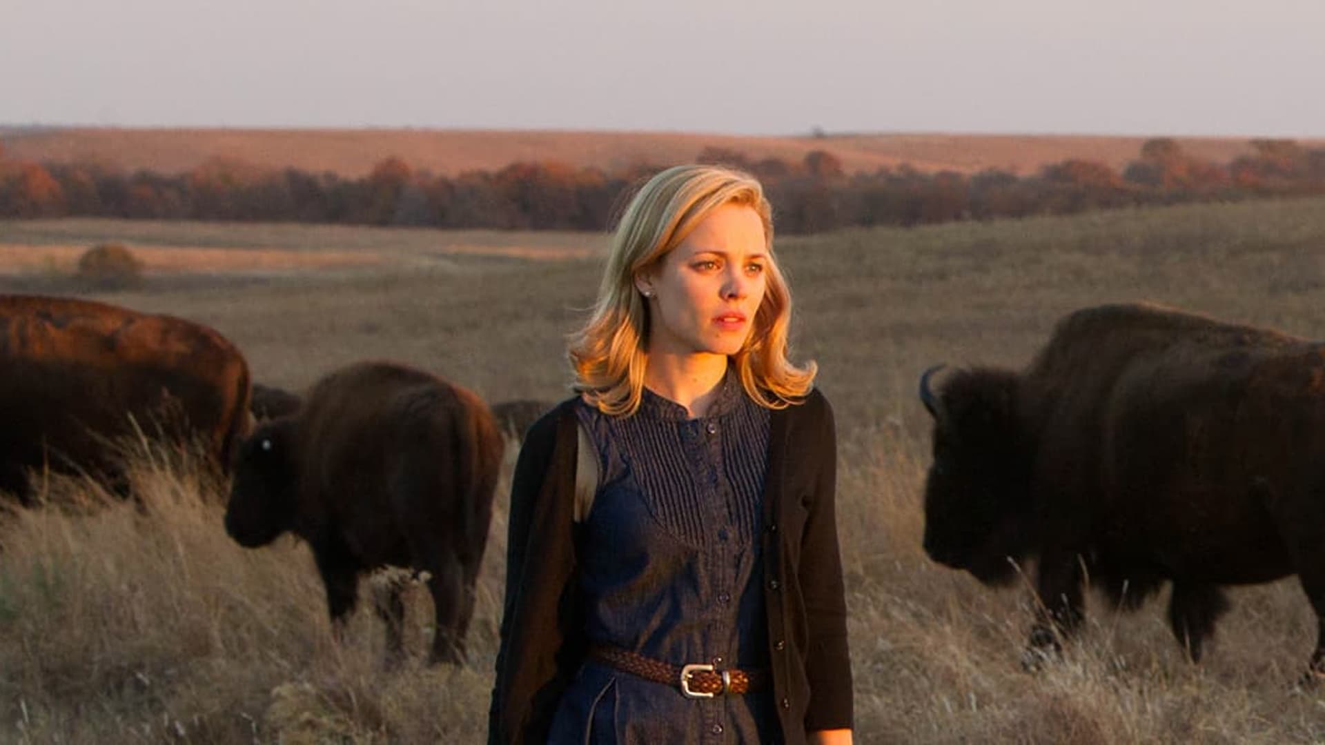 To the Wonder Finds Beauty and Heartbreak on Tubi This October — still 1