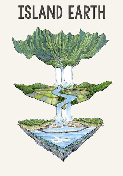 Island Earth