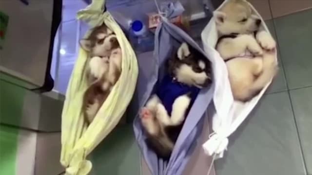 S01:E12 - Episode 12