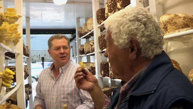 S03:E05 - Antonio Carluccio on Mushrooms / Matt Tebbutt on Offal