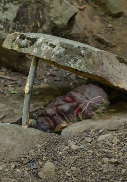 Póster de S01:E04 - I Survived for Seven Days With Primitive Methods