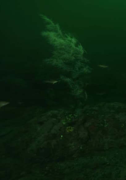 S01:E02 - Life in Dark Water poster