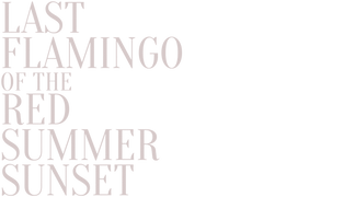 Last Flamingo of the Red Summer Sunset