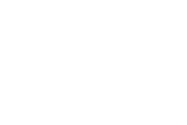 The TV Set
