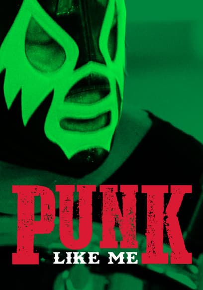 Punk Like Me