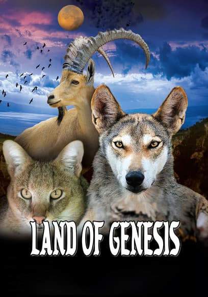 Land of Genesis