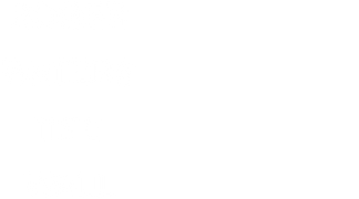 Roger Waters the Wall