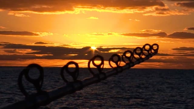 S03:E06 - Rod-Bending Adrenaline at Guadalupe Island: Part 1