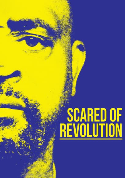 Scared of Revolution