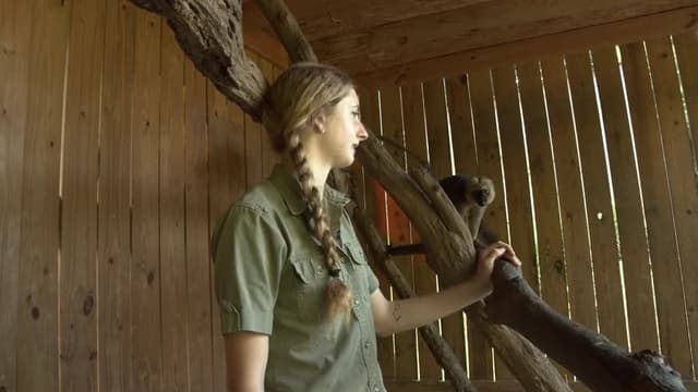 S01:E03 - Monkey Business