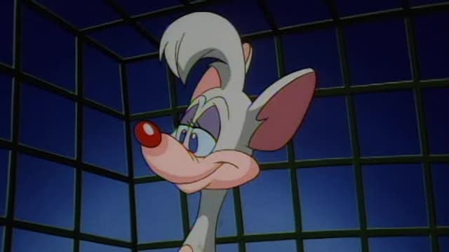 S01:E44 - The Senses Song/The World Can Wait/Kiki's Kitten