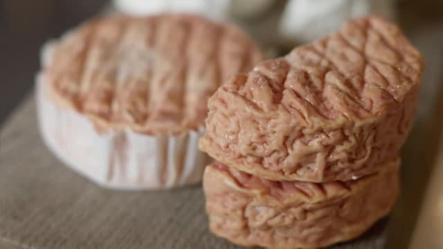 S01:E03 - Milk and Its Microbes